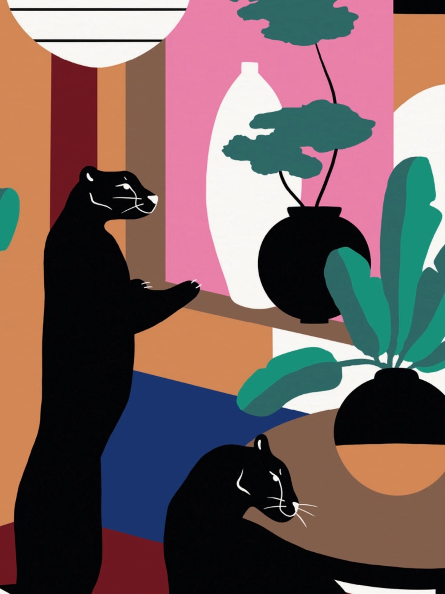 Black Cats Don’t Blink