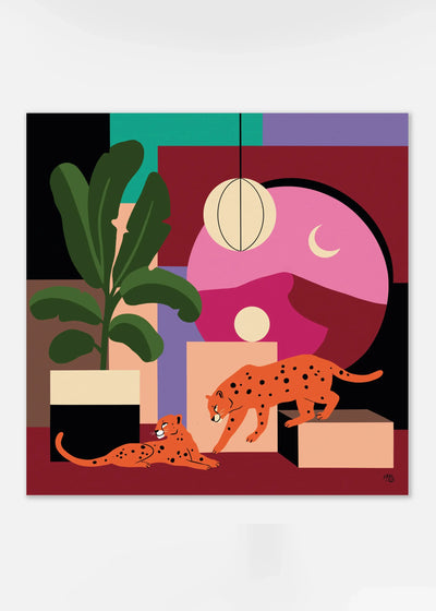 We Played in a Room Made of Light